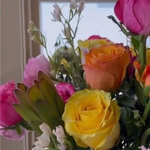 Meet your Posher, Annie